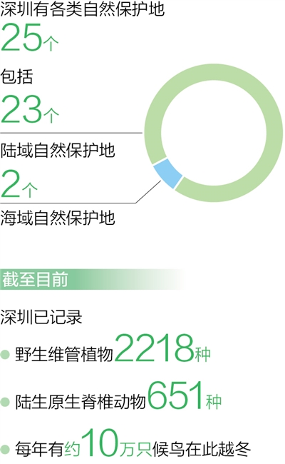 探索597漳州人才网招聘信息的丰富世界